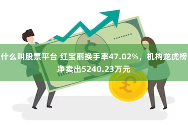什么叫股票平台 红宝丽换手率47.02%，机构龙虎榜净卖出5240.23万元