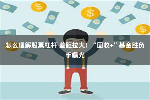 怎么理解股票杠杆 差距拉大！“固收+”基金胜负手曝光