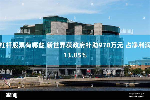 杠杆股票有哪些 新世界获政府补助970万元 占净利润13.85%