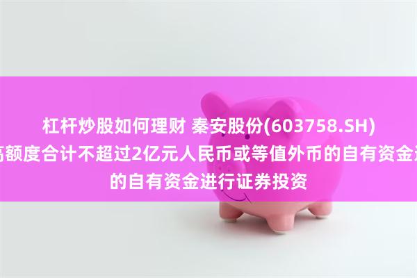 杠杆炒股如何理财 秦安股份(603758.SH)：拟使用最高额度合计不超过2亿元人民币或等值外币的自有资金进行证券投资