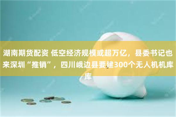 湖南期货配资 低空经济规模或超万亿，县委书记也来深圳“推销”，四川峨边县要建300个无人机机库