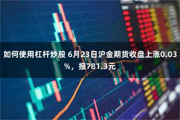 如何使用杠杆炒股 6月23日沪金期货收盘上涨0.03%，报781.3元